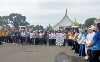 Ribuan Peserta Ikuti Gerak Jalan Sehat di Lubuk Sikaping Memperingati HANI Tahun 2026