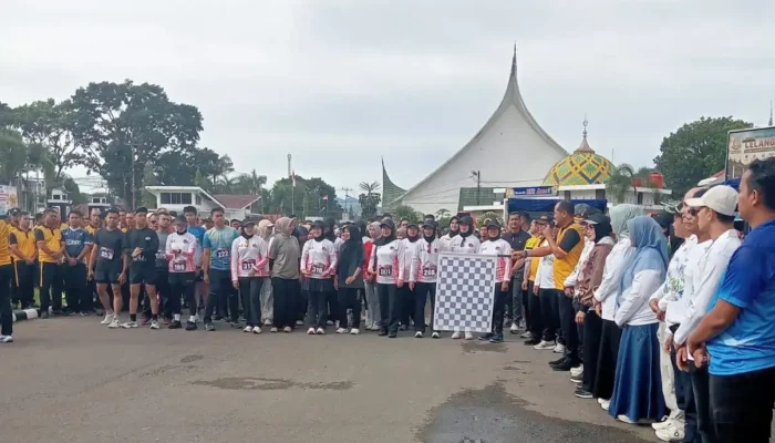 Ribuan Peserta Ikuti Gerak Jalan Sehat di Lubuk Sikaping Memperingati HANI Tahun 2026