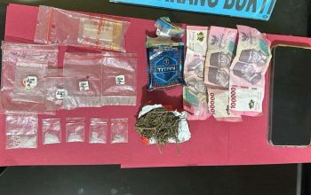 Sopir dan Pedagang Jual Narkoba, Berhasil Dibekuk Satresnakorba Polres Pessel