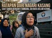 Ratapan dari Nagari Kasang: Saat Sawah Berganti Tambang dan Air Mata Belum Kering