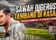Sawah Digerus Tambang di Kasang, Ini Kata Presiden Komintau: Itu Kakangi Perpres!