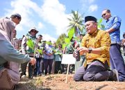 Pemko Payakumbuh Mulai Gerakan Tanam Pisang Serentak di Lima Kecamatan
