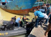 Gerak Cepat TNI AL Evakuasi Mayat Pria Mengapung di Sungai Batang Arau