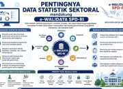 Pentingnya DSSD dalam Mendukung e-Walidata SPD-RI