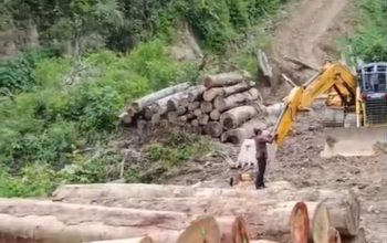 Gakkum Kehutanan Bergerak, Pembabat Hutan Ilegal Sariak Bayang Diseret ke Kajari Solok