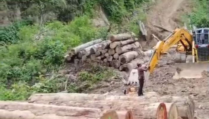 Gakkum Kehutanan Bergerak, Pembabat Hutan Ilegal Sariak Bayang Diseret ke Kajari Solok
