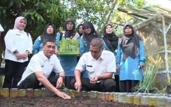 Pemko Payakumbuh Luncurkan Inovasi GEMPITA BERSAMA untuk Dorong Pemanfaatan Pekarangan