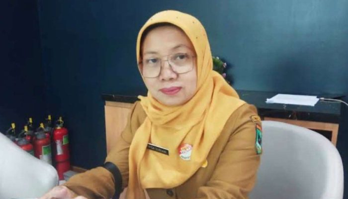 Pemprov Sumbar Alokasikan Rp195,1 Miliar TKD untuk 75 Kegiatan Infrastruktur SDA