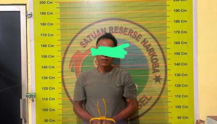 Terbukti Mengedar Sabu, Tim Satresnarkoba Polres Pessel Tangkap DY di Kampung Pasar Surantih