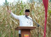 Gubernur Mahyeldi Dorong Pertanian Sumbar Berbasis Smart Farming