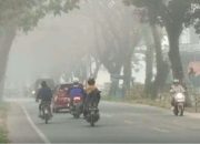 Masyarakat Diminta Pakai Masker, Kabut Asap Sedang Terjadi di Limapuluh Kota Dampak Karhutla