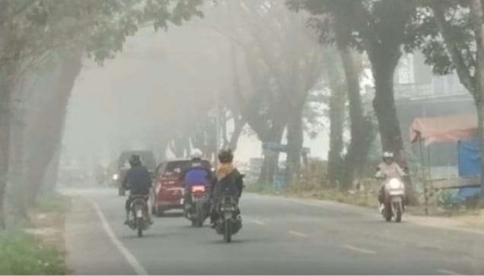 Masyarakat Diminta Pakai Masker, Kabut Asap Sedang Terjadi di Limapuluh Kota Dampak Karhutla