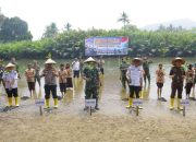 Cegah Resiko Bencana, Dandim 0311/Pessel Tanam 200 Batang Mangrove Bersama Forkopimda