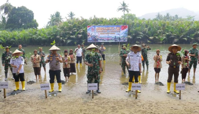 Cegah Resiko Bencana, Dandim 0311/Pessel Tanam 200 Batang Mangrove Bersama Forkopimda