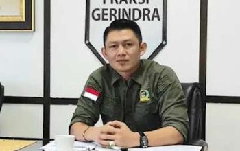 Maraknya Kekerasan terhadap Perempuan dan Anak, Mario Syahjohan: Solok Selatan Harus Jadi Kabupaten Ramah Perempuan dan Anak