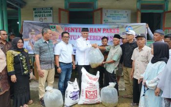 Pemprov Sumbar Salurkan 52 Ribu Bibit Ikan untuk Pembudidaya Terdampak Bencana di Solok
