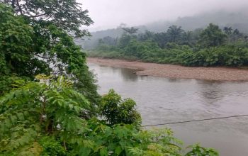 Bom Waktu di Hulu Batang Lengayang: Tumpukan Batu Sumbat Aliran, Banjir Mengintai Kampung Akad