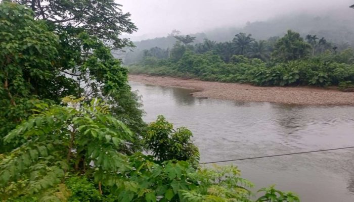 Bom Waktu di Hulu Batang Lengayang: Tumpukan Batu Sumbat Aliran, Banjir Mengintai Kampung Akad