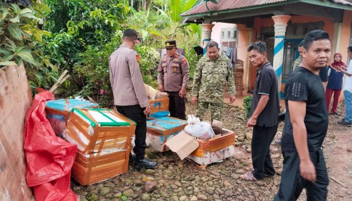 Nyaris Celakai Tim Opsnal Satreskrim Polres Pessel, Pelaku Penyalahgunaan BBM Solar Berhasil Dibekuk